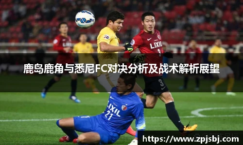V66官网