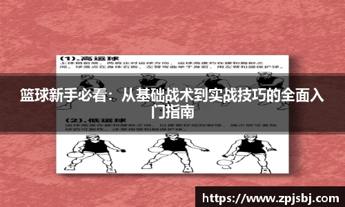 V66官网