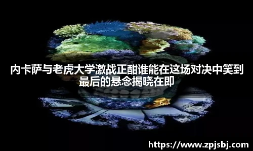 V66官网